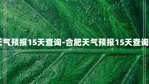 合肥天气预报15天查询-合肥天气预报15天查询114网