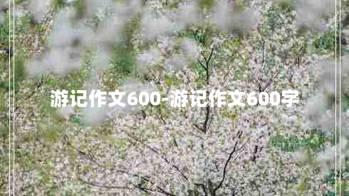 游记作文600-游记作文600字