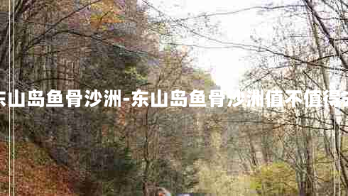 东山岛鱼骨沙洲-东山岛鱼骨沙洲值不值得去