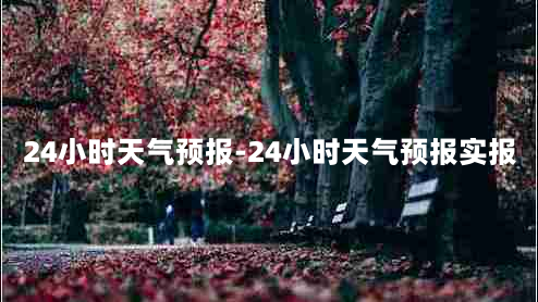 24小时天气预报-24小时天气预报实报