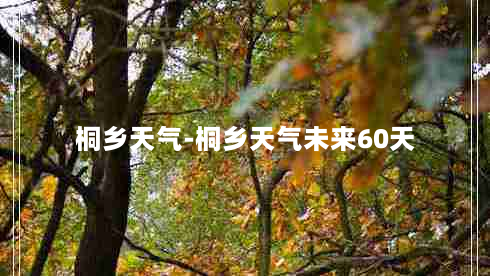 桐乡天气-桐乡天气未来60天