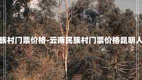 云南民族村门票价格-云南民族村门票价格昆明人免费吗