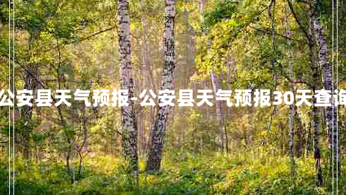 公安县天气预报-公安县天气预报30天查询