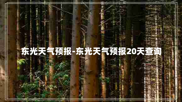 东光天气预报-东光天气预报20天查询