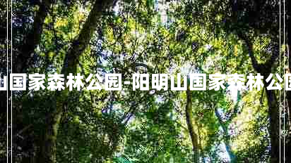 阳明山国家森林公园-阳明山国家森林公园天气