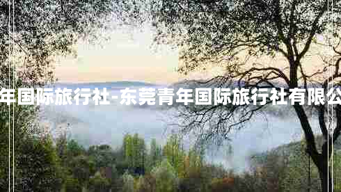 东莞青年国际旅行社-东莞青年国际旅行社有限公司 *** 