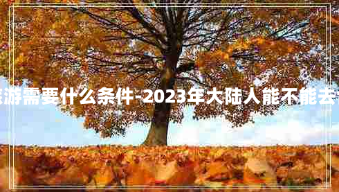 去台湾旅游需要什么条件-2023年大陆人能不能去台湾旅游