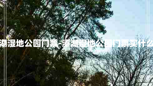 溱湖湿地公园门票-溱湖湿地公园门票买什么样