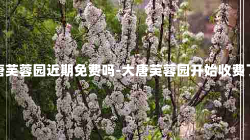 大唐芙蓉园近期免费吗-大唐芙蓉园开始收费了吗