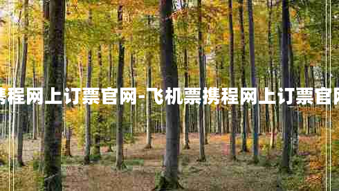 飞机票携程网上订票官网-飞机票携程网上订票官网火车票