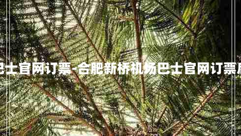 合肥新桥机场巴士官网订票-合肥新桥机场巴士官网订票后还需要取票吗