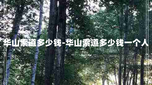 华山索道多少钱-华山索道多少钱一个人