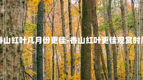 香山红叶几月份更佳-香山红叶更佳观赏时间