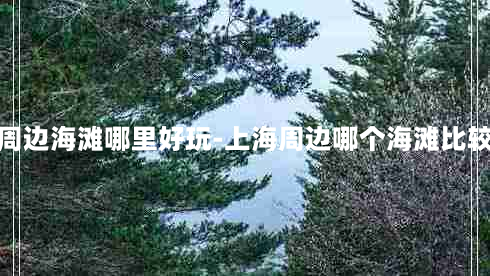 上海周边海滩哪里好玩-上海周边哪个海滩比较好玩