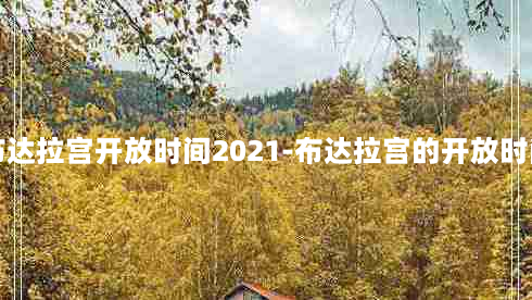 布达拉宫开放时间2021-布达拉宫的开放时间