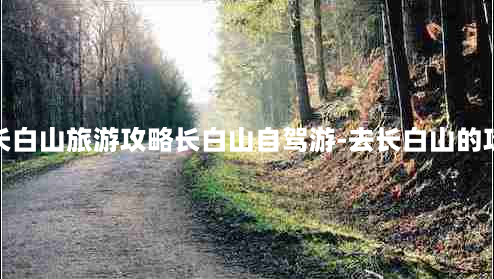 去长白山旅游攻略长白山自驾游-去长白山的攻略