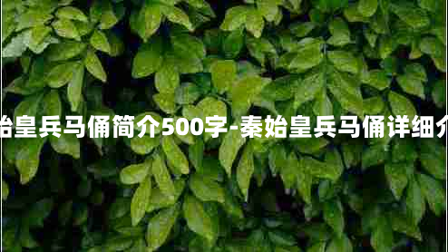 秦始皇兵马俑简介500字-秦始皇兵马俑详细介绍