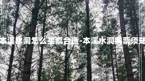 本溪水洞怎么买票合适-本溪水洞购票须知