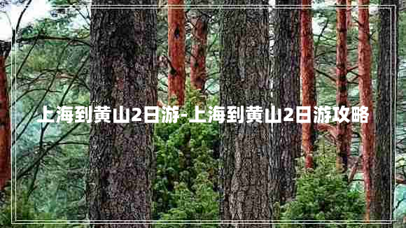 上海到黄山2日游-上海到黄山2日游攻略