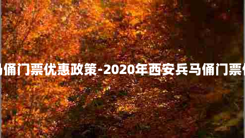 西安兵马俑门票优惠政策-2020年西安兵马俑门票优惠政策