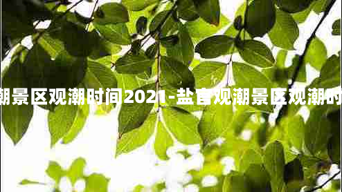 盐官观潮景区观潮时间2021-盐官观潮景区观潮时间2023