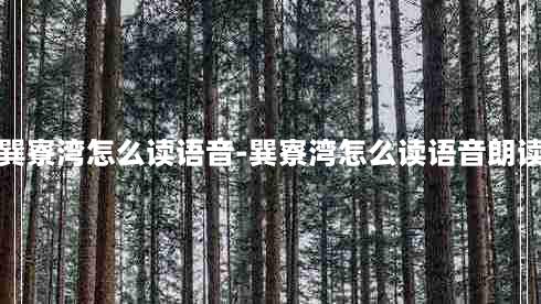 巽寮湾怎么读语音-巽寮湾怎么读语音朗读