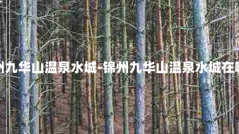 锦州九华山温泉水城-锦州九华山温泉水城在哪儿