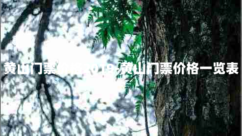 黄山门票价格2019-黄山门票价格一览表