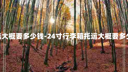 24寸行李箱托运大概要多少钱-24寸行李箱托运大概要多少钱,不含托运钱