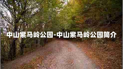 中山紫马岭公园-中山紫马岭公园简介