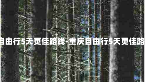 重庆自由行5天更佳路线-重庆自由行5天更佳路线%2