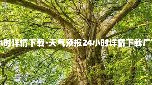 天气预报24小时详情下载-天气预报24小时详情下载厂下戴天气预报