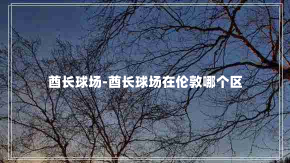 酋长球场-酋长球场在伦敦哪个区