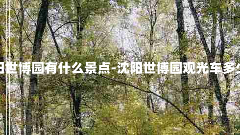 沈阳世博园有什么景点-沈阳世博园观光车多少钱