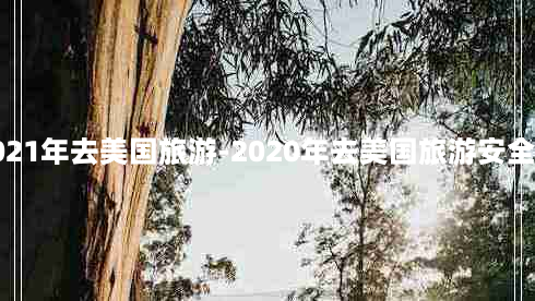 2021年去美国旅游-2020年去美国旅游安全吗