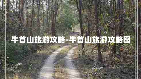 牛首山旅游攻略-牛首山旅游攻略图