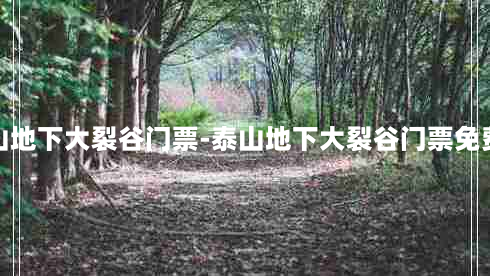 泰山地下大裂谷门票-泰山地下大裂谷门票免费吗