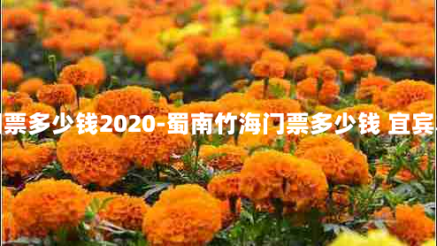 蜀南竹海门票多少钱2020-蜀南竹海门票多少钱 宜宾本地人国庆