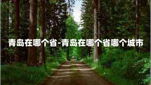 青岛在哪个省-青岛在哪个省哪个城市