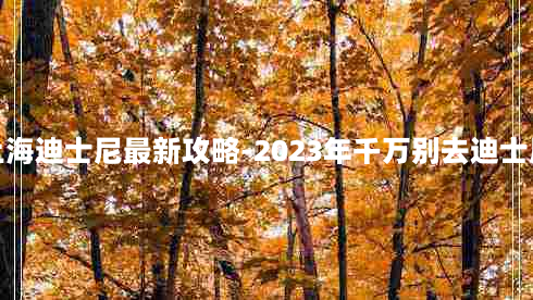 上海迪士尼最新攻略-2023年千万别去迪士尼