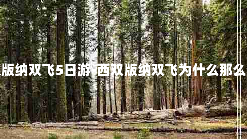 西双版纳双飞5日游-西双版纳双飞为什么那么便宜