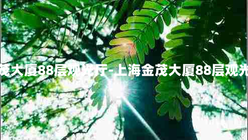 上海金茂大厦88层观光厅-上海金茂大厦88层观光厅 *** 