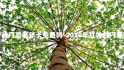 红叶谷门票老年卡免费吗-2020年红叶谷门票政策