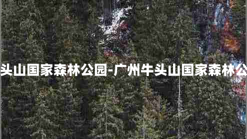 广州牛头山国家森林公园-广州牛头山国家森林公园 *** 