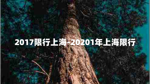 2017限行上海-20201年上海限行