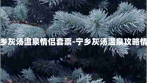 宁乡灰汤温泉情侣套票-宁乡灰汤温泉攻略情侣