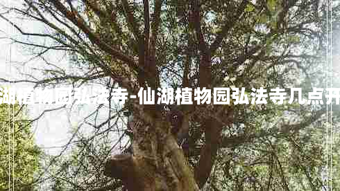 仙湖植物园弘法寺-仙湖植物园弘法寺几点开门