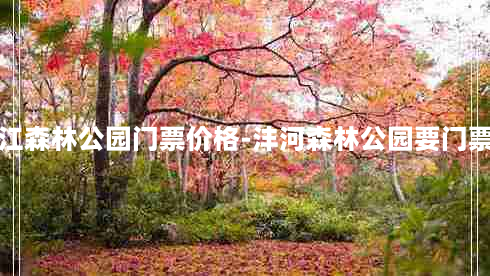 滨江森林公园门票价格-沣河森林公园要门票吗