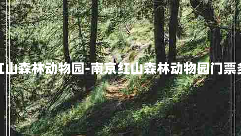 南京红山森林动物园-南京红山森林动物园门票多少钱