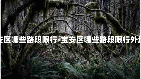 宝安区哪些路段限行-宝安区哪些路段限行外地车